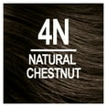 thumbnail image 2 of Naturtint 4N Natural Chestnut Permanent Hair Color, 1 Pack (Packaging May Vary), 2 of 7
