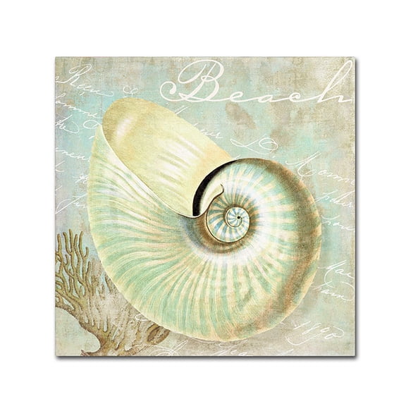 Trademark Fine Art "Turquoise Beach IV" Canvas Art by Color Bakery