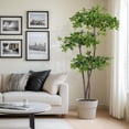 thumbnail image 5 of Danolapsi 5ft Artificial Olive Tree, Faux Plants Indoor with 50 Led Lights, 8 Lighting Modes,Artificial Plants with for Home Office Decor, 5 of 7