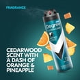 thumbnail image 4 of Ultraclear Black + White 72 Hour Antiperspirant & Deodorant Spray - Fresh Scent - 3.8oz/2ct, 4 of 7