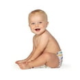 thumbnail image 2 of Hello Bello Club Box Diapers - Hear Our Roars & Beach Bums - Size 6 (54ct), 2 of 2