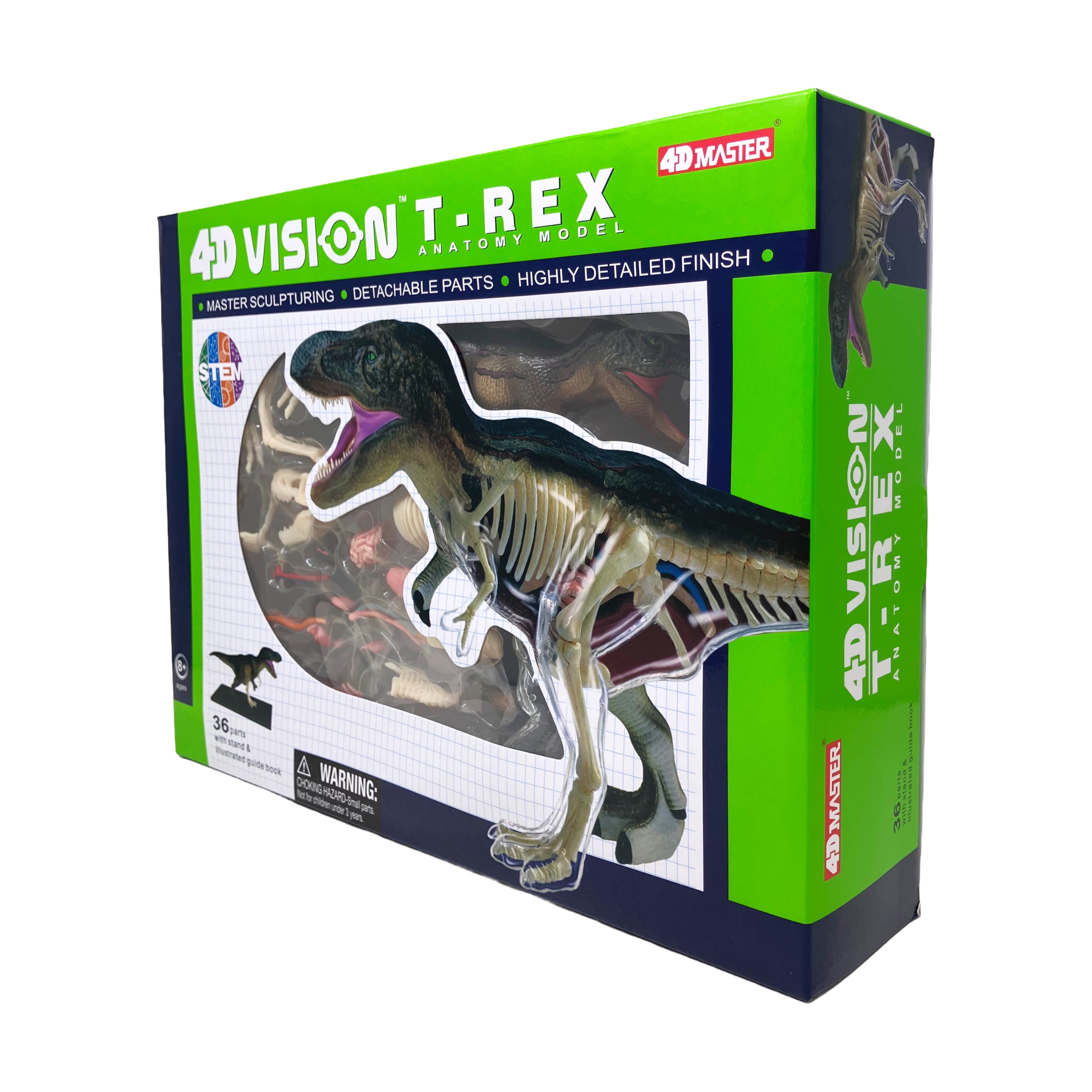 4D Master 4D Vision T-Rex Anatomy Model