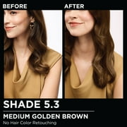 Garnier Olia Oil Powered Permanent Hair Color, 5.3 Medium Golden Brown