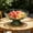 GN184, variant on VBODN Fruit Tray for Party, Healthy Gourmet, Snack Box, Reusable Trays for Serving Food, Dessert Table for Cheese, Chips & Dips, Fruit Platter