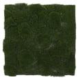 thumbnail image 1 of Miangastore Artificial Moss Mat Fake Grass Rug Indoor And Outdoor Decor Realistic Simulation Turf Artificial Moss Mat For Crafts And Decoration Fake Grass For Terrariums, 1 of 9
