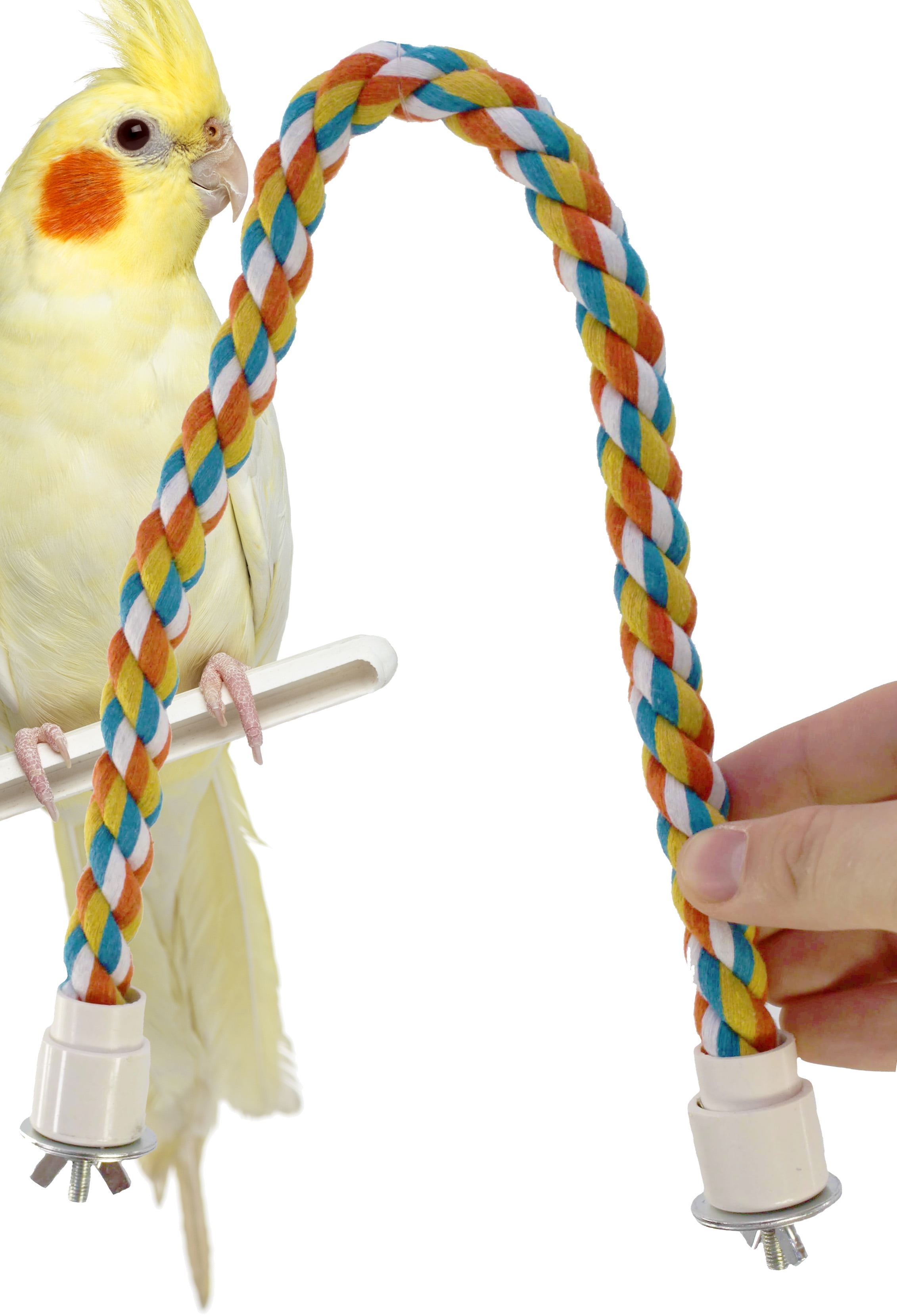 bird toys walmart