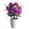 thumbnail image 1 of Bonsai de simulación de decoración del hogar de flores artificiales de plástico maceta falsa Eigraketly HA8764-00B, 1 of 6