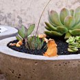 thumbnail image 3 of 2Pcs Miniature Groundhog Statue Miniature Groundhog Sculpture Figure Home Decor Cake Ornament, 3 of 7