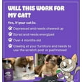 thumbnail image 4 of Cat Crack Organic Catnip, 100% Natural Cat Nips Organic Blend That Energizes and Excites Cats, Safe Catnip Treats for Cat Play, Cat Training, & New Organic Catnip Toys for Cats(1 Cup Organic), 4 of 7