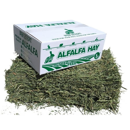 Stunning Dried Alfalfa Hay For Pet Rabbits image