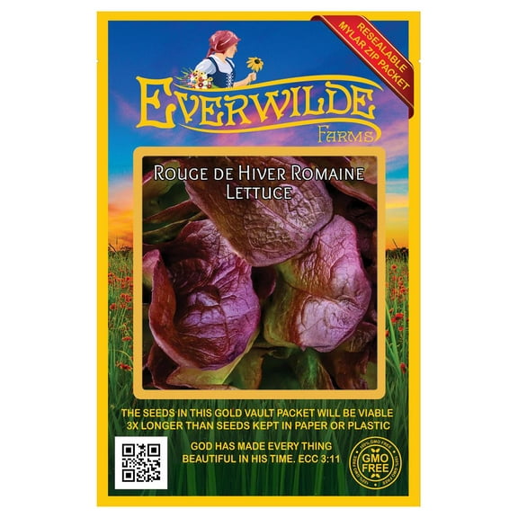 Everwilde Farms - 1000 Rouge de Hiver Romaine Lettuce Seeds - Gold Vault Jumbo Bulk Seed Packet