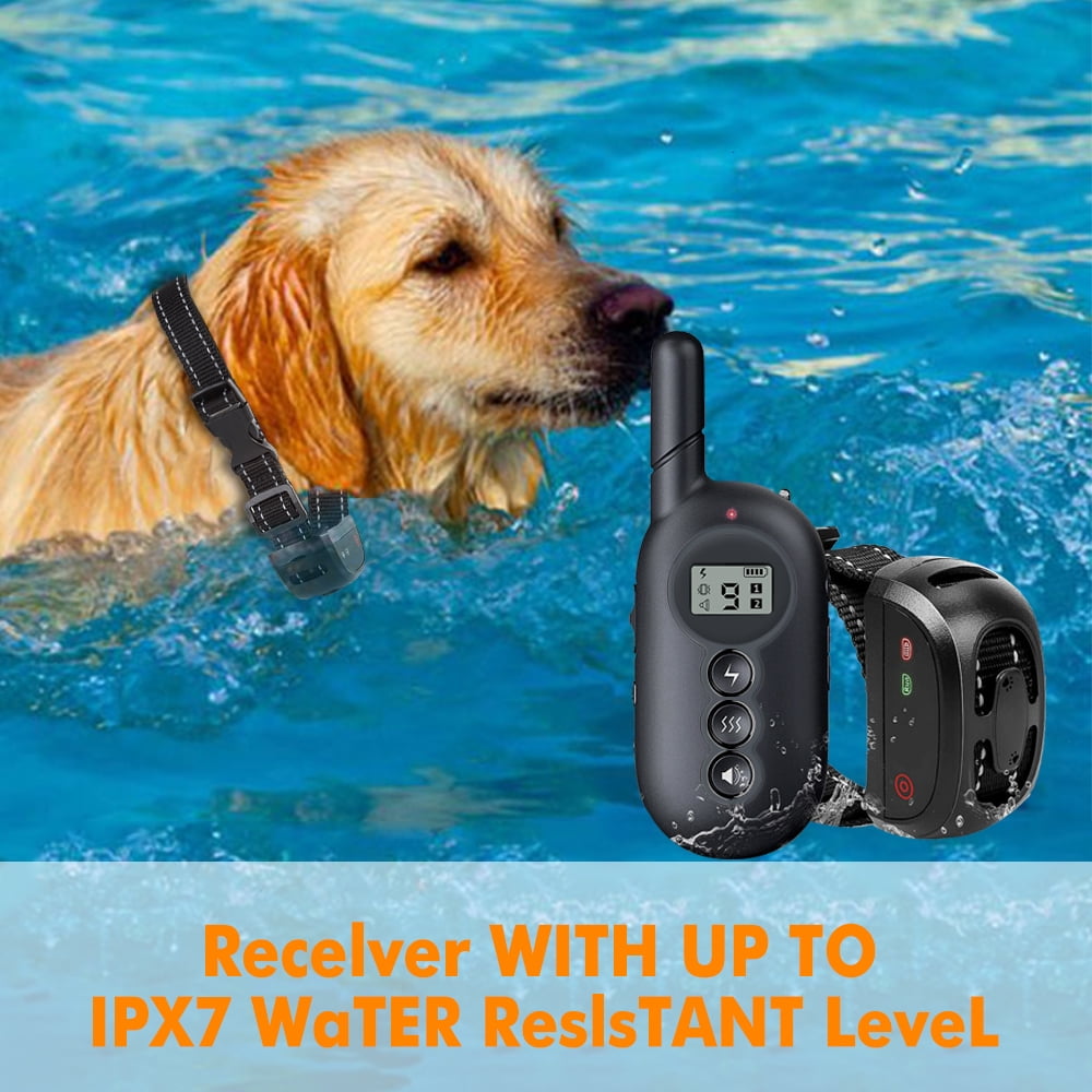 mothca dog training collar