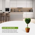 thumbnail image 5 of 8IN Artificial Boxwood Topiary Small with Pot, Mini Greenery Tabletop, Shelf Decorations, for Indoor & Home Decor (2PCS, Heart), 5 of 5