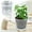 A, variant on ZZERHUOO Transparent Nursery Flowerpot 5 Packs 4/5/6/7 Inch Transparent Flowerpot With Bottom Support Hole Starting Container Flower for Indoor Tall Floor Vase Ceramic Vases for Flowers Japanese