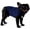 Blue, variant on Dog Anxiety Relief Coat, Adjustable Shirts for Dogs Anxiety, Dog Anxiety Vest Jacket for Fireworks, Thunderstorm, Travel, Separation, Anxiety Calming Vest Wrap