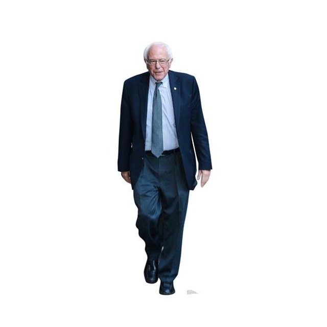 69 x 25 Po. Bernie Sanders Support en Carton