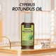 thumbnail image 5 of Cyperus Oil Rotundus For Hair Removal Natural Cyperus Oil Reducing The Growth Of Body Hair, Moisturizing And Soothing 50ml, 5 of 5