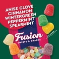 thumbnail image 2 of Spice Drops, 2 Pound Bulk Bag - Assorted Fruit Spiced Gum Drops Candy, Spice Gumdrops In Clove, Wintergreen, Anise, Cinnamon, Peppermint, And Spearmint Flavors, 2 of 12