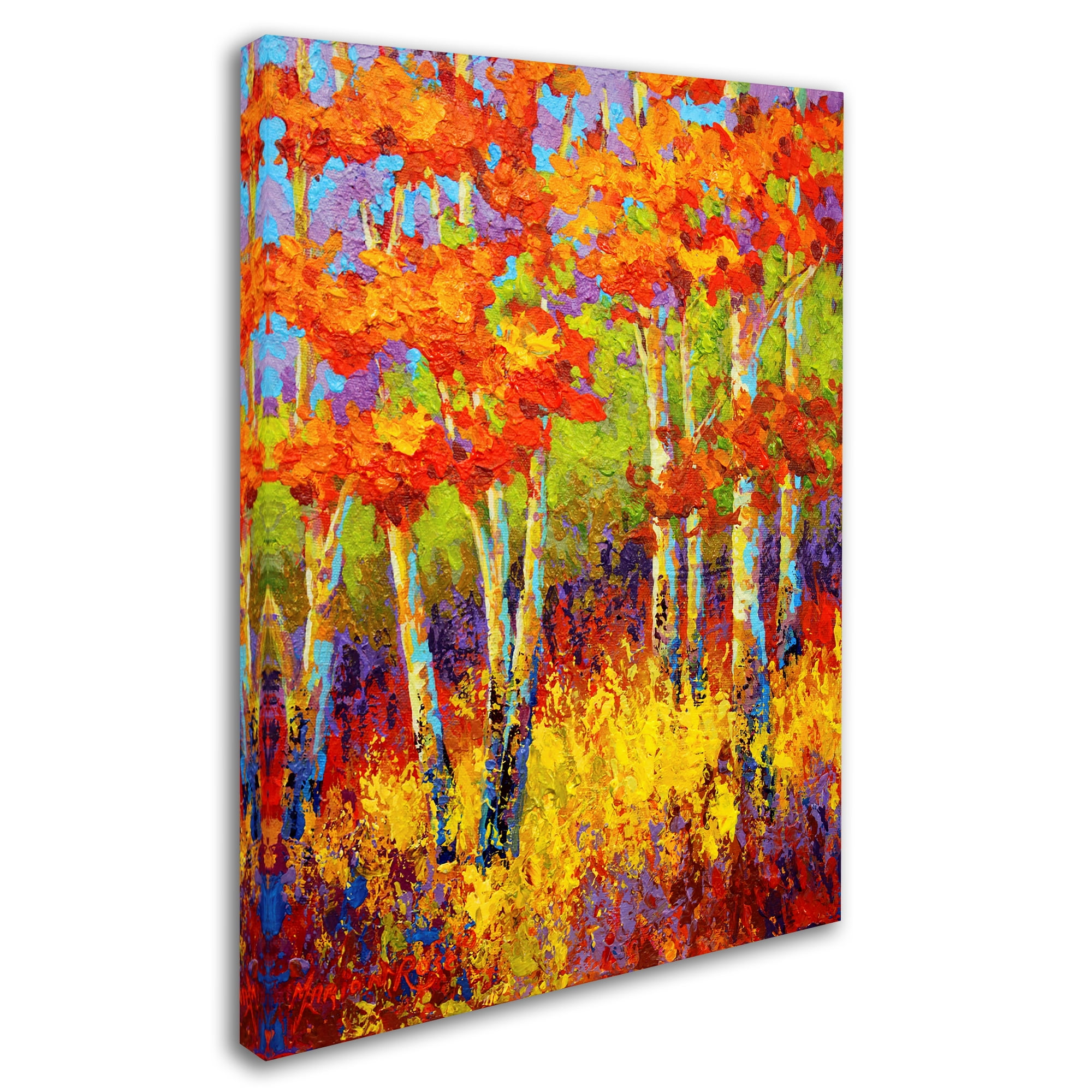 Trademark Fine Art 'Evening Glow' Canvas Art by Marion Rose
