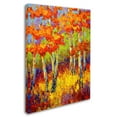 thumbnail image 2 of Trademark Fine Art 'Evening Glow' Canvas Art by Marion Rose, 2 of 3