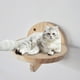 thumbnail image 2 of Estante de escalada para gatos, escalera de salto para gatos, estante de escalera de 20 kg, estante resistente para gatos Montado en la pared, 2 of 9