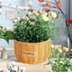 thumbnail image 4 of Cesta de flores de ratán sintético, maceta tejida, ovalada, con doble asa, decoración para el hogar, para regalar, porta arreglos florales, elegante detalle para interiores. Blaxill, 4 of 6