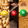 thumbnail image 3 of M&M's Full Size Halloween Chocolate Candy Bars, 30.58 oz, 18 Ct Box, 3 of 13