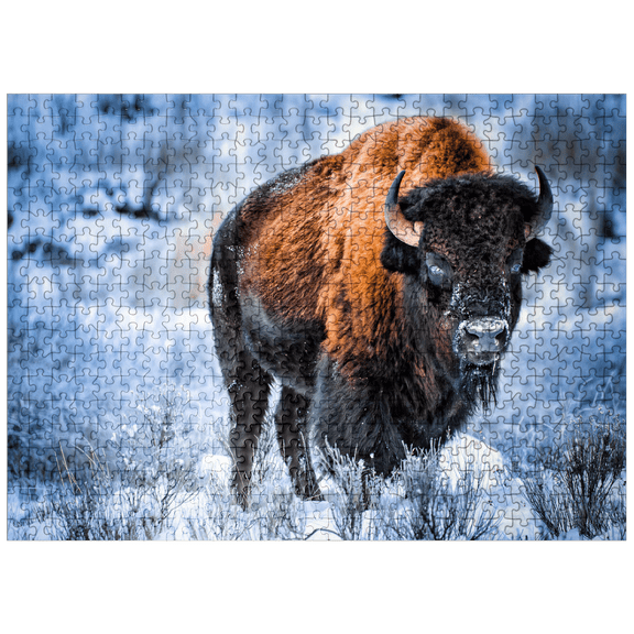 MyPuzzle - American Bison Crouching In Snow In Winter, Yellowstone National Park - Premium 500 Piece Jigsaw Puzzle for Adults