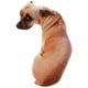 thumbnail image 4 of 20cm Shy Angry Plush Dog Animal Funny Christmas Birthday Mini Plush Dogs Toys for children Baby Gifts, 4 of 5