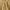 Solid Gold, variant on Elegant Comfort Reversible and Plush Flannel Fleece-Winter Christmas Sherpa Throw- Lightweight Soft and Cozy-Holiday Decorative Throw, Perfect for Lounging, 50 x 60 inches, Cats in Holiday
