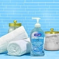thumbnail image 3 of Softsoap Clean &amp; Protect Antibacterial Liquid Hand Soap, Cool Splash Hand Soap, 11.25 Ounce, 6 Pack, 3 of 15