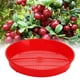 thumbnail image 1 of Cesta Plástica Para Lavar Frutas, Tamiz De Limpieza Eficiente De Arándanos Para Jardín, 1 of 7