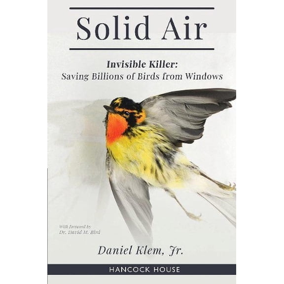 Solid Air: Invisible Killer- Saving Birds from Windows (Paperback) by Daniel Klem Jr