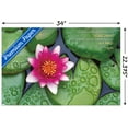 thumbnail image 3 of Zen - Lily Pads Wall Poster with Pushpins, 22.375" x 34", 3 of 6