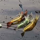 thumbnail image 2 of Pesca 6G 3uds Señuelos blandos luminosos Anzuelos de camarones artificiales Cebos de pesca, 2 of 7