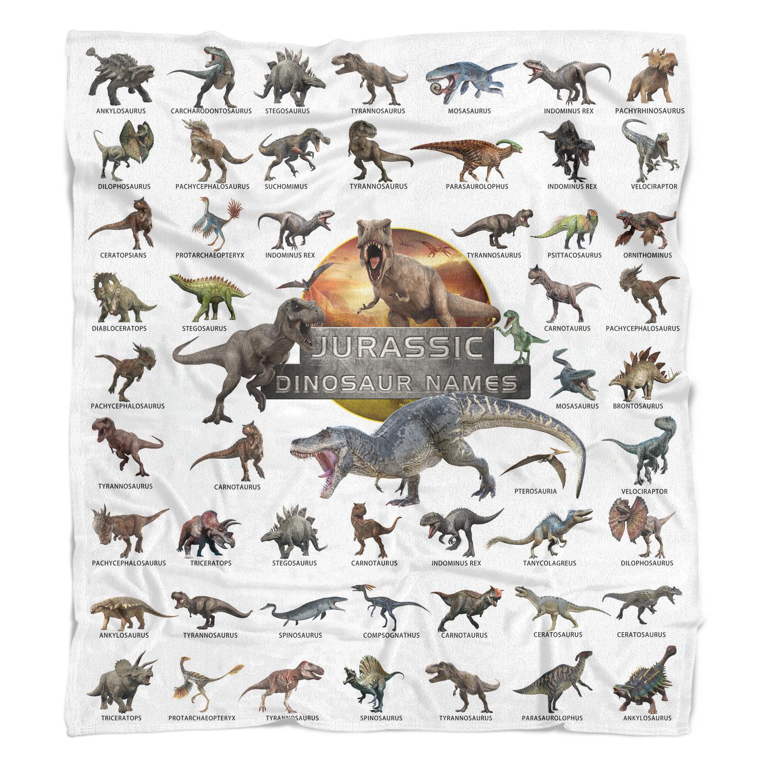 Dinosaur Throw Blanket for Boys - Jurassic Dino World Park Kids Blanket - Christmas Gift Decor for Boys, Jurrassic Dinosaur Thanksgiving Day Gifts Soft Flannel Sofa Bed Throw Blanket 60 X 50 Inch