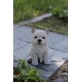 thumbnail image 5 of Garden Decor Animal Statue White Terrier Puppy, 5 of 5