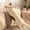 White, variant on VAIFTILNO Long Pillow, Large Size Cat Body Pillow for Sleeping, Cute Body Cushion, High-Elastic Filling (Black)