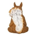 thumbnail image 5 of Meditating Zen Yoga Squirrel Garden Decorations Statues Indoor Outdoor Hand Painted Resin Animal Yoga Figurine in Zen Meditation Lotus Pose - 9 Inch Tall, 5 of 7