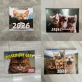 thumbnail image 6 of 2026 Kitten Theme Wall Mounted Monthly Calendar Twin Coil Binding from Jan to Dec For Classroom Home Decoration, 6 of 8