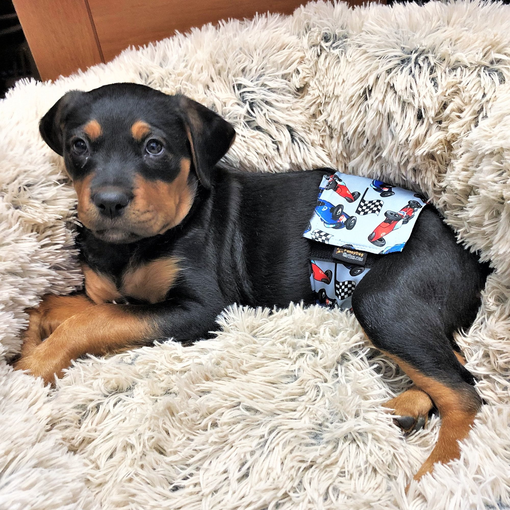 Pack of 6 Male Dog Diapers Belly Band Wrap Waterproof Leak Proof Washable