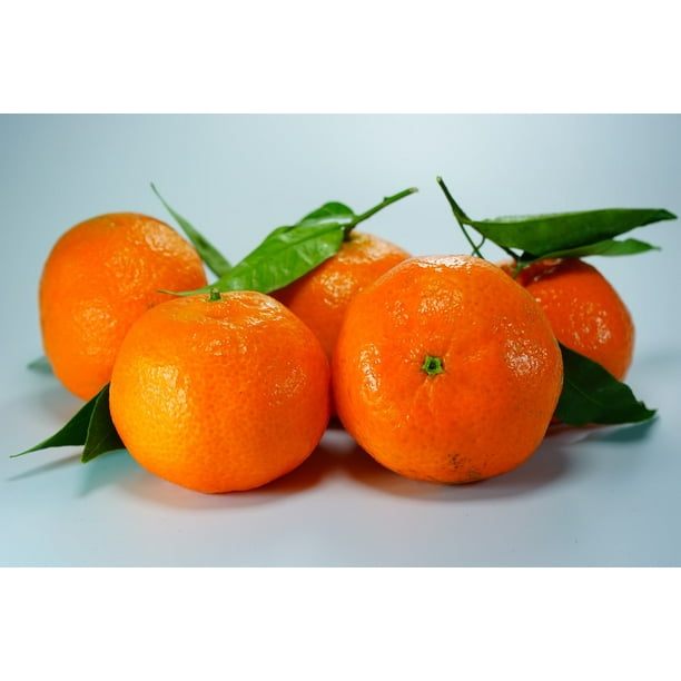 Clementines Oranges Tangerines Citrus Fruit Orange 12 Inch By 18 Inch Laminated Poster With Bright Colors And Vivid Imagery Fits Perfectly In Many Attractive Frames Walmart Com Walmart Com