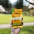 thumbnail image 4 of Herbaland Turmeric & Ginger Gummies - 40g Pouch - Snacks with Benefits, 4 of 4