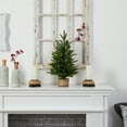 thumbnail image 7 of Nearly Natural 2ft. Artificial Christmas Tree with 35 Clear LED Lights in Decorative Basket, 7 of 7
