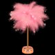 thumbnail image 3 of Lámpara de ambiente de plumas Lámpara de noche recargable Versátil para la decoración del dormitorio del hogar, 3 of 9