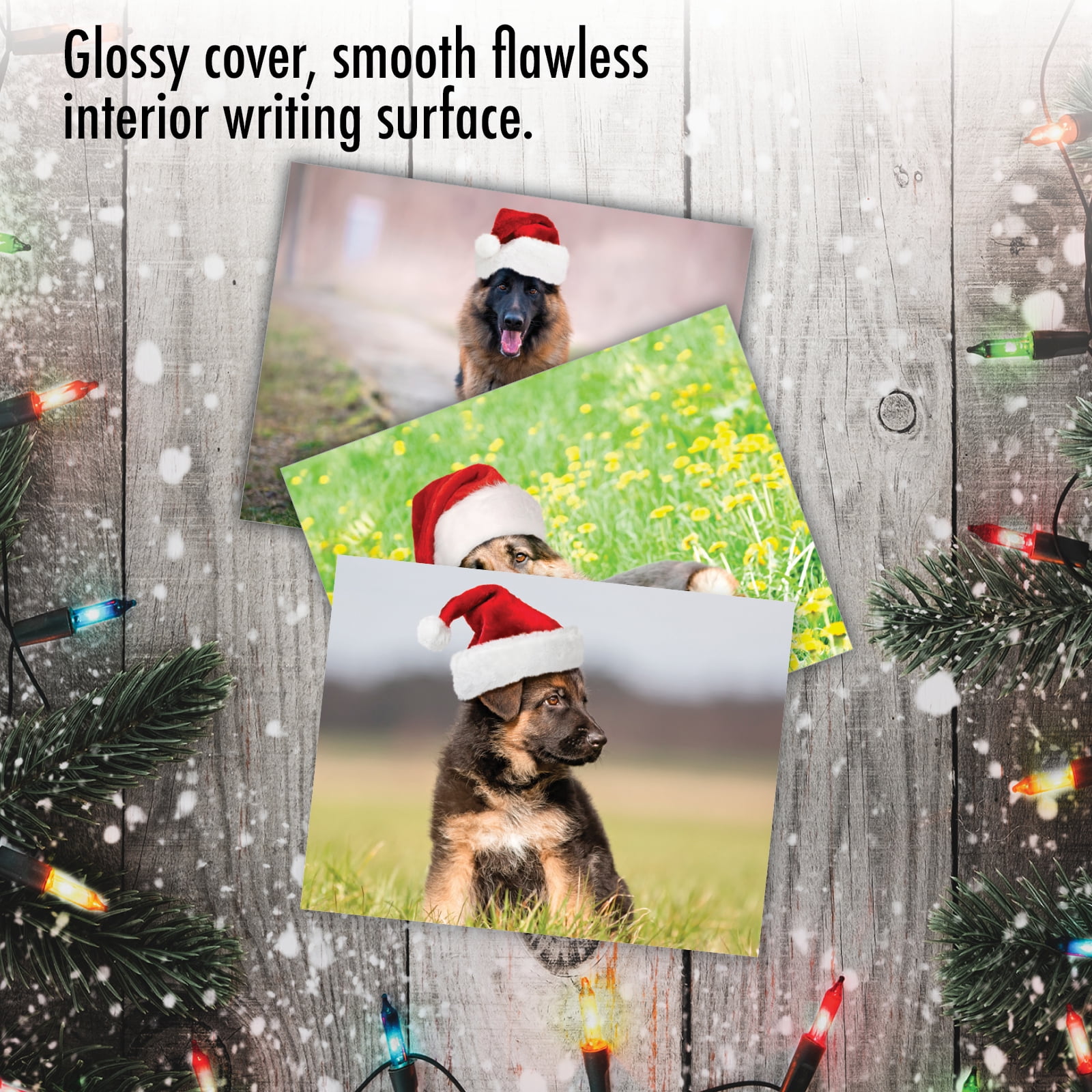 The Best Card Company - 20 Adorable Christmas Note Cards (4 X 5.12 Inch) - Bulk Puppy Dog Greetings, Assorted (10 Designs, 2 Each) - Captivating Cavalier King Charles AM6831XSG-B2x10