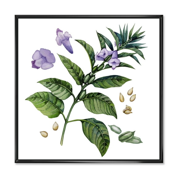 Designart 'Purple Sesame Flowers WIth Green Leaves On White' Traditional Framed Canvas Wall Art Print