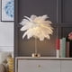thumbnail image 5 of Lámpara de mesa con plumas | Luz nocturna LED con pilas y alimentación por USB | Lámpara de noche portátil para dormitorio, sala de estar, bodas, fiestas o decoración navideña, 5 of 8