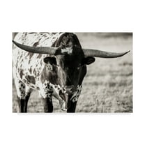 Trademark Fine Art 'Longhorn Portrait Centered' Canvas Art by Tyler Stockton