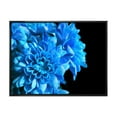 thumbnail image 1 of Designart Détail de fleurs bleues sur noir I ART MURAL À CADRE FLOTTÉ, 1 of 4